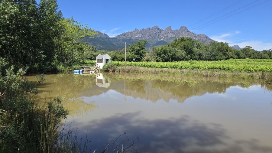 Commercial Property for Sale in Wellington Rural Western Cape